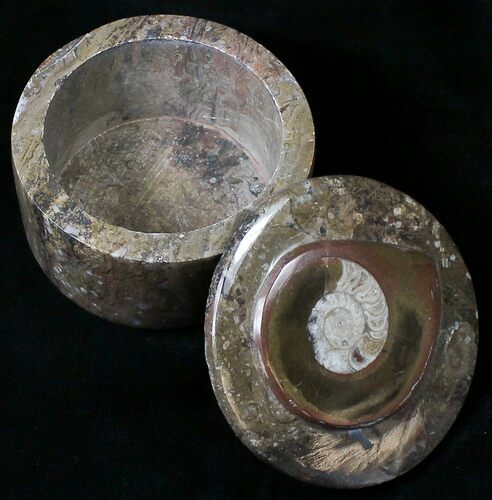 Large Fossil Goniatite Jar - Stoneware #18282
